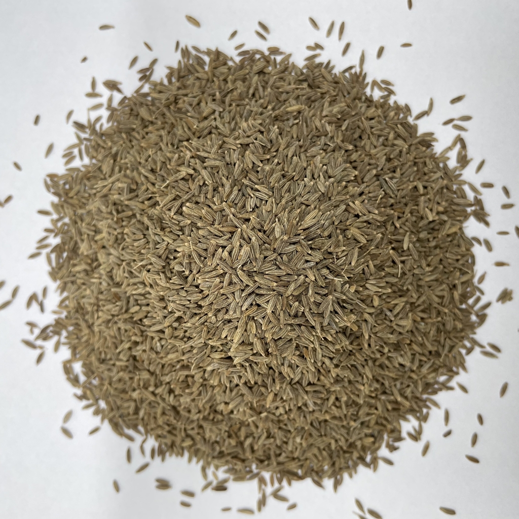 Cumin Seed