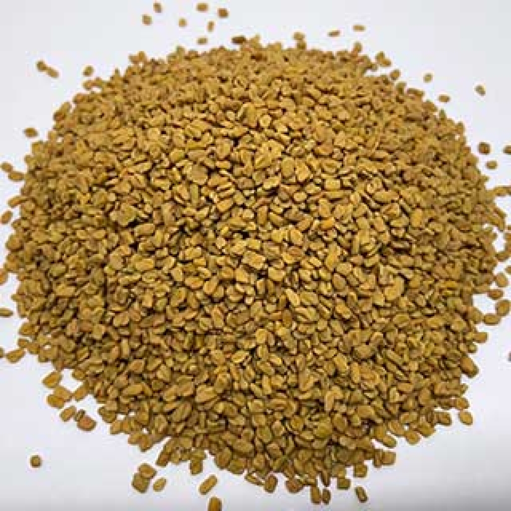 Fenugreek Seed