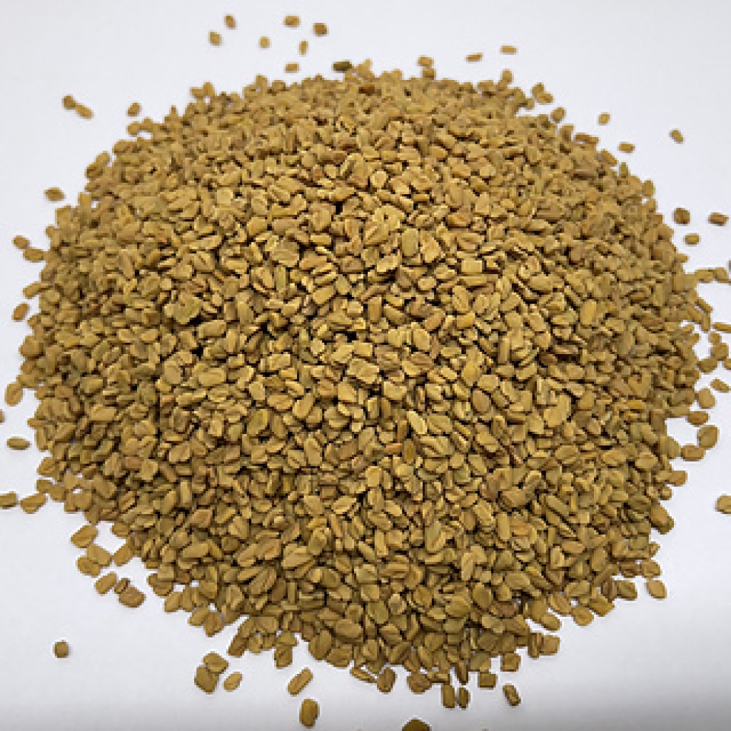 Fenugreek Seed