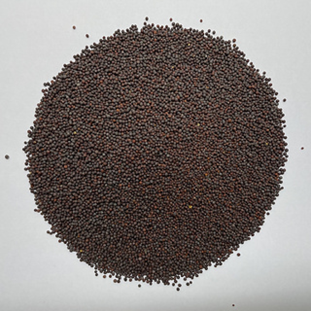 Mustard Seeds