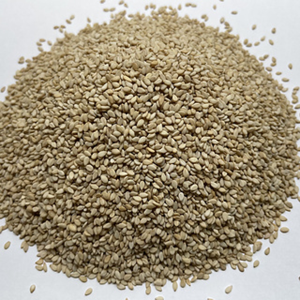 Sesame Seed